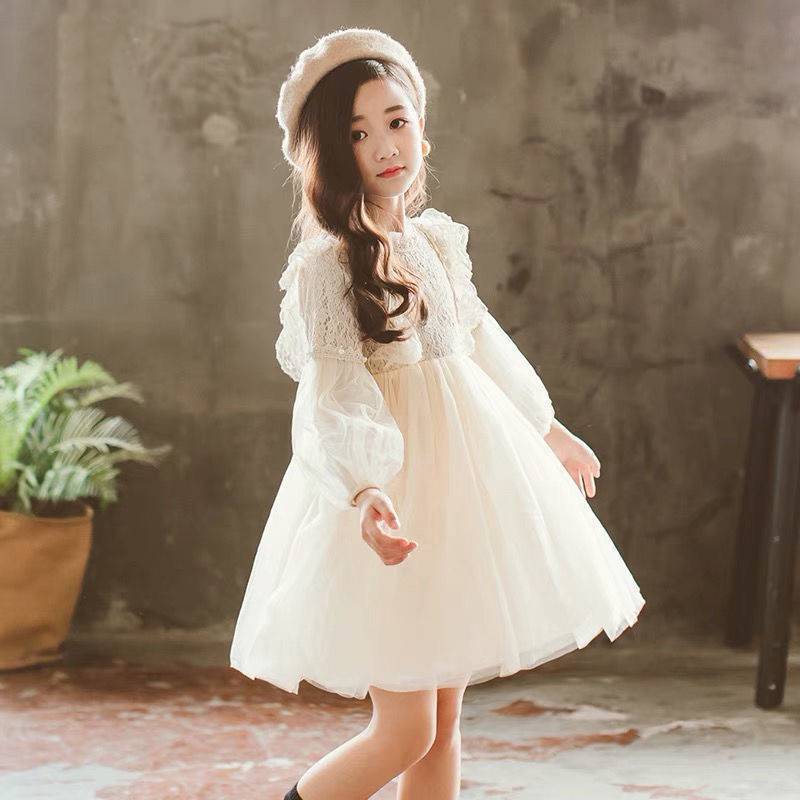 Children's Clothing Girls Autumn Clothing  New  Long-sleeved Princess Dress