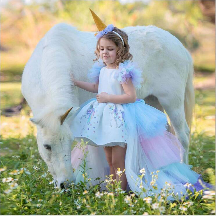 Girls princess dress